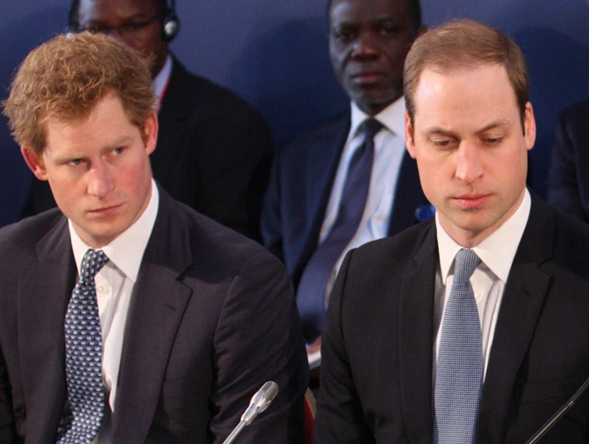 Princes Harry, William at the London Conference on The Illegal Wildlife Trade - 2014
