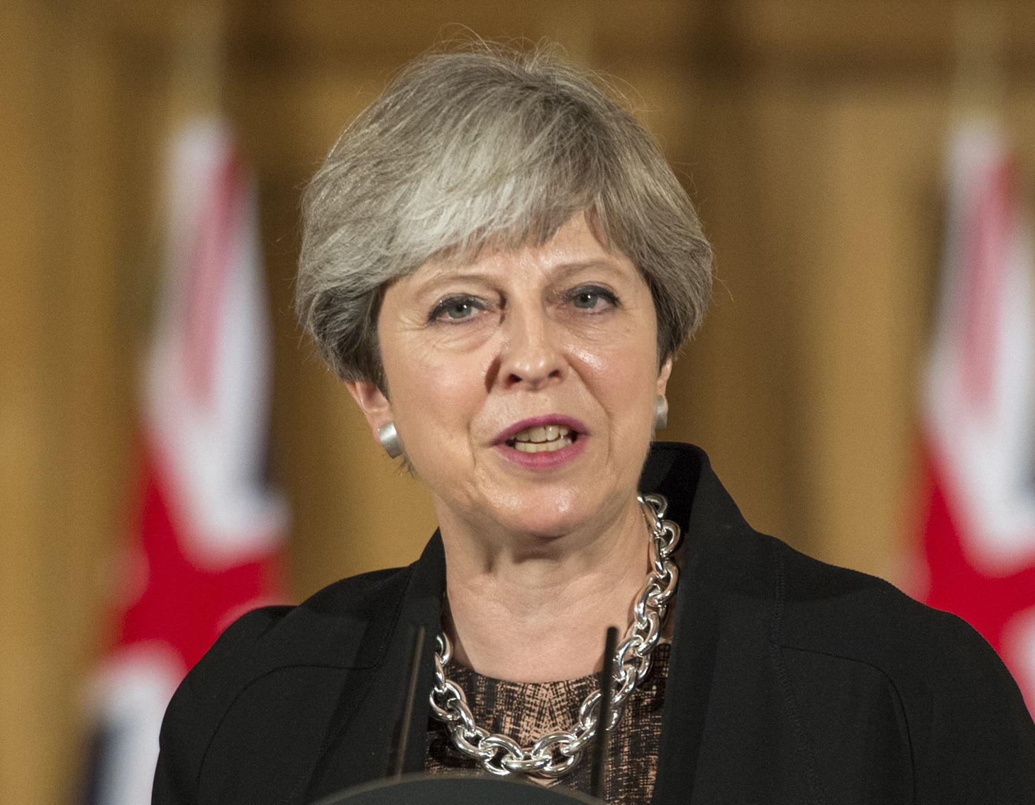 Prime Minister Theresa May - 2017