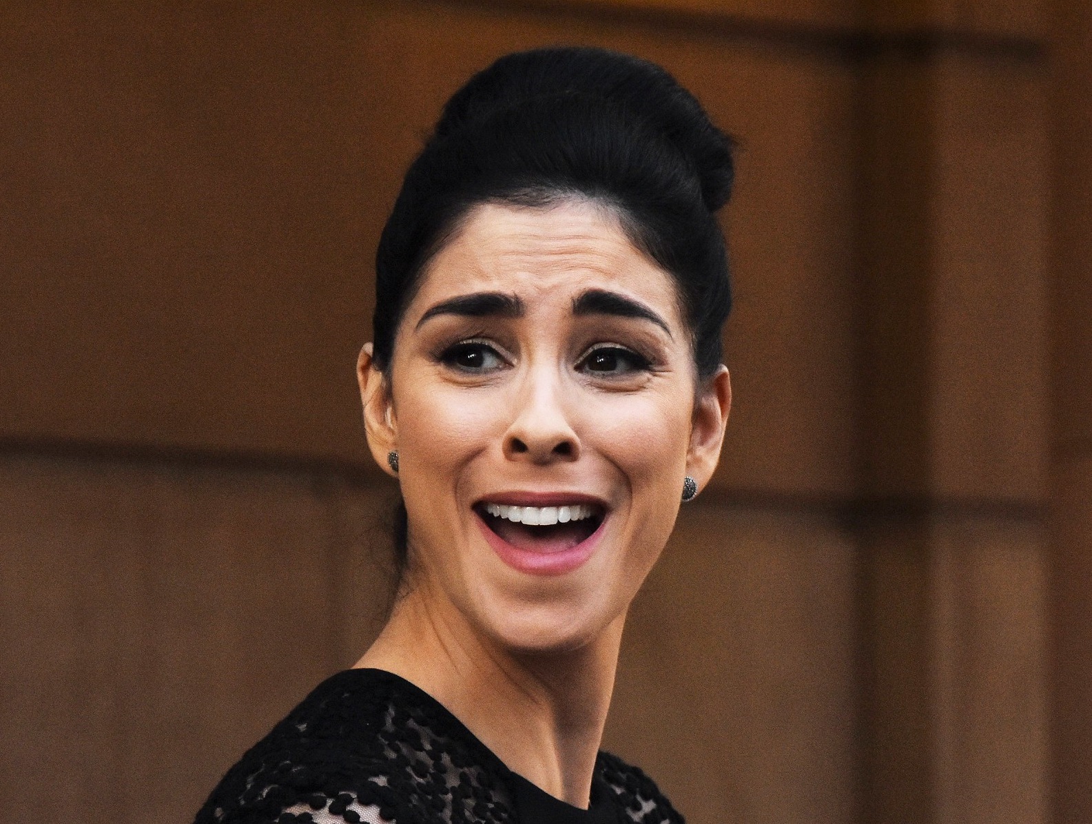 Sarah Silverman smiling - 2015
