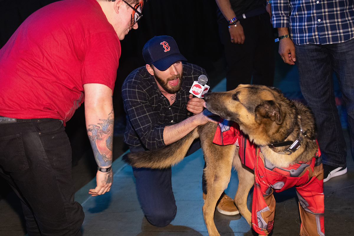 Actor Chris Evans jumps off stage to pet dog Rhydian during ACE Comic Con