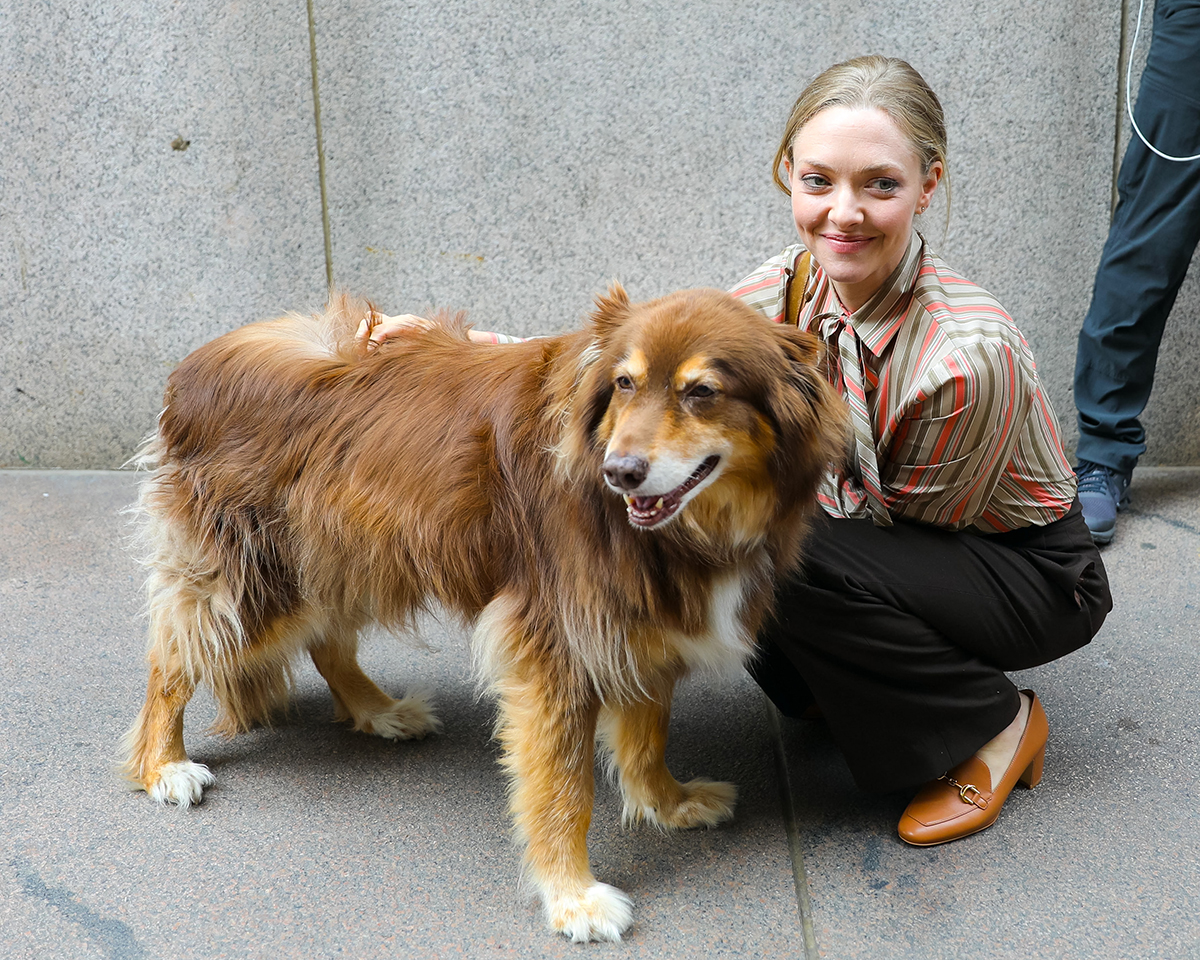 Amanda Seyfried is seen at the film set of 