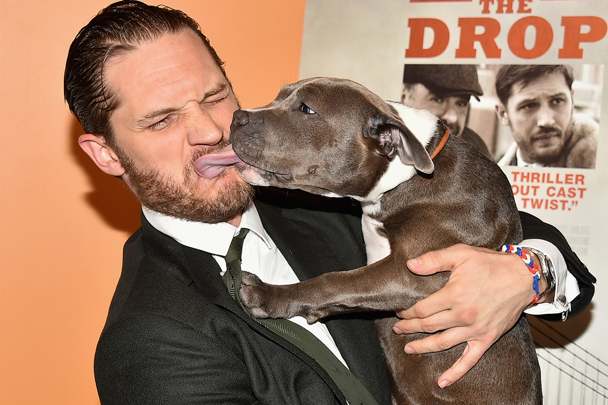 Tom Hardy and Zora the dog attend