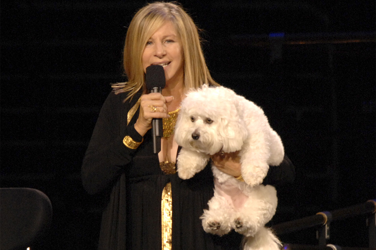 Barbra Streisand and her dog Sammie