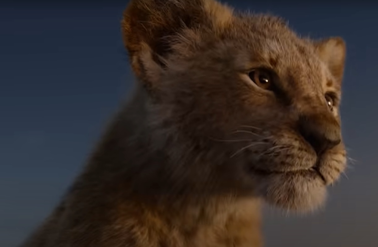 Screenshot from the movie The Lion King (2019)