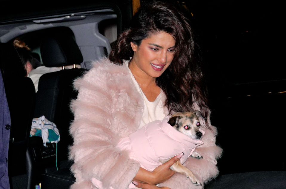 Priyanka Chopra with her dog Diana