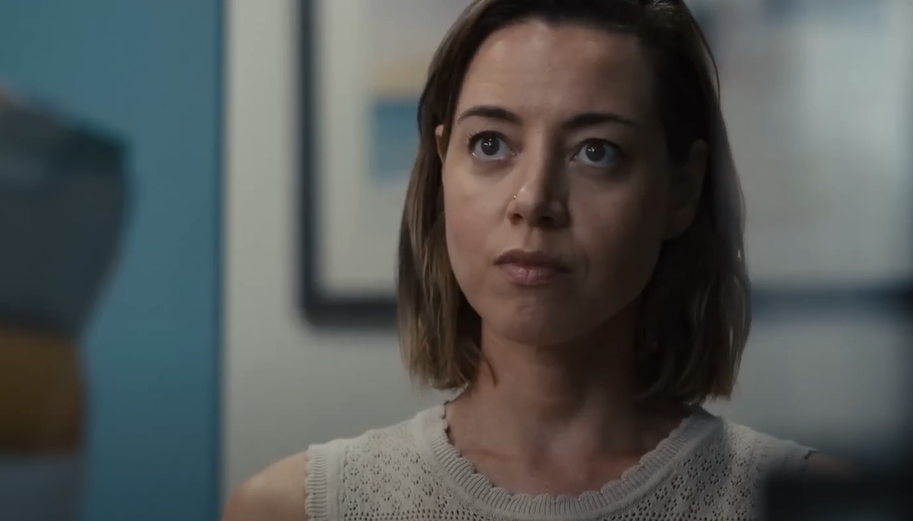 Aubrey Plaza as Emily