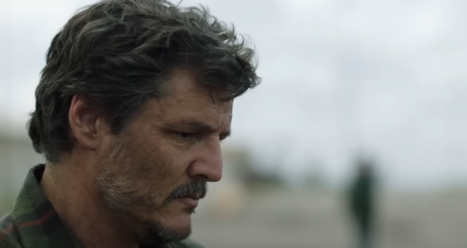 A snapshot of the TV Show The Last of Us