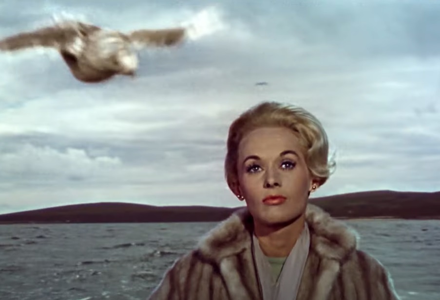 Screenshot from the movie The Birds (1963)
