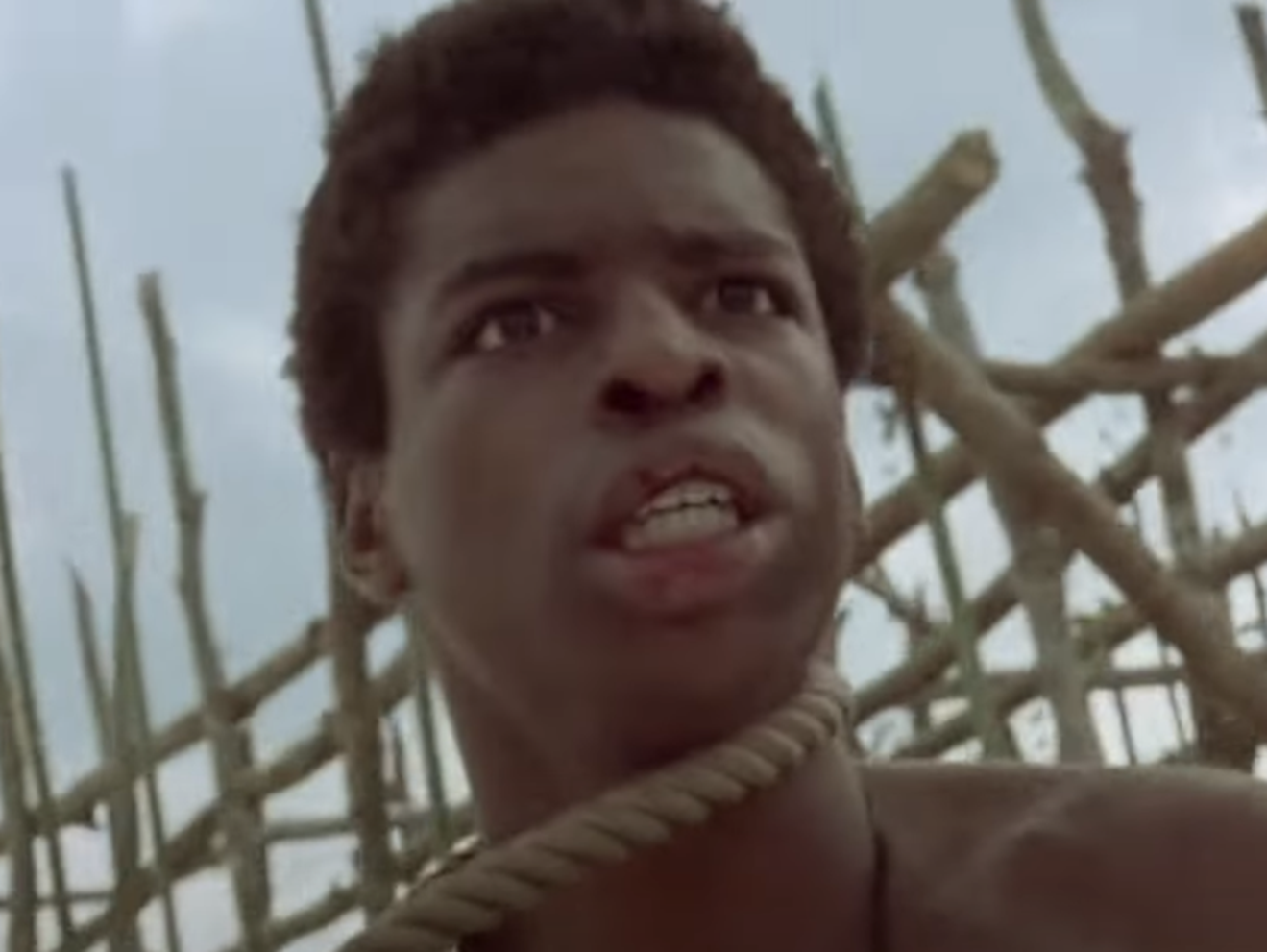 Screenshot of LeVar Burton from Roots (1977)