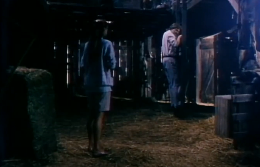 A screenshot of the movie Arachnophobia