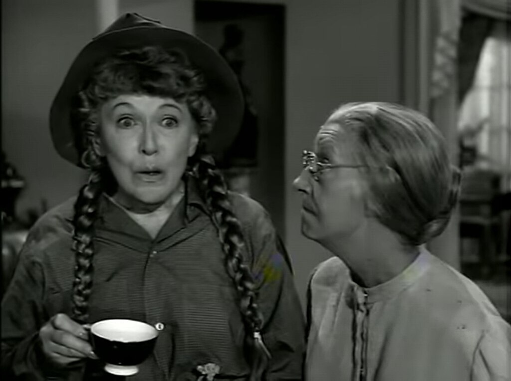 TV Show - The Beverly Hillbillies