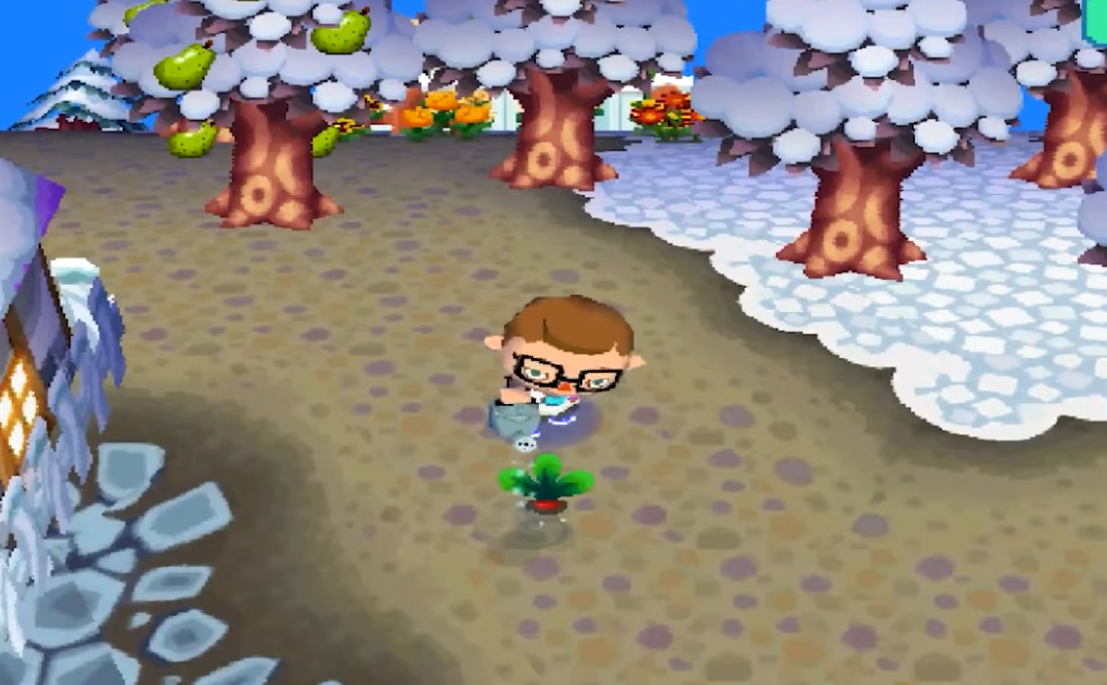 Animal Crossing: Wild World