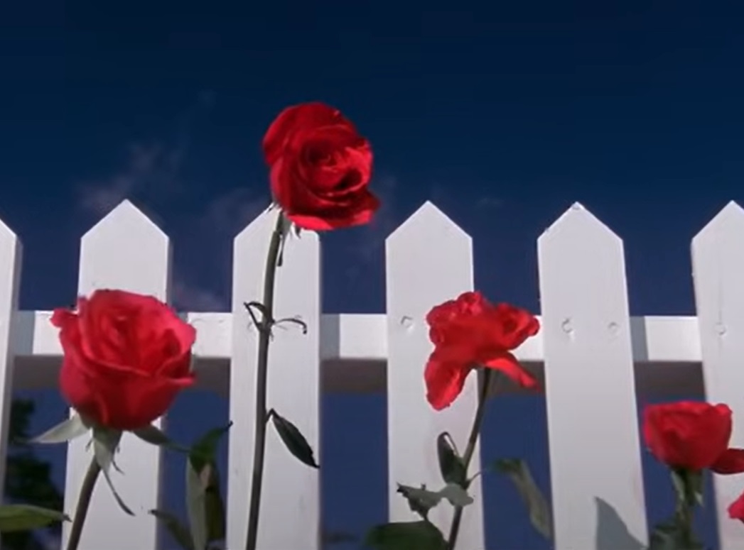 Screenshot from the movie Blue Velvet (1986)