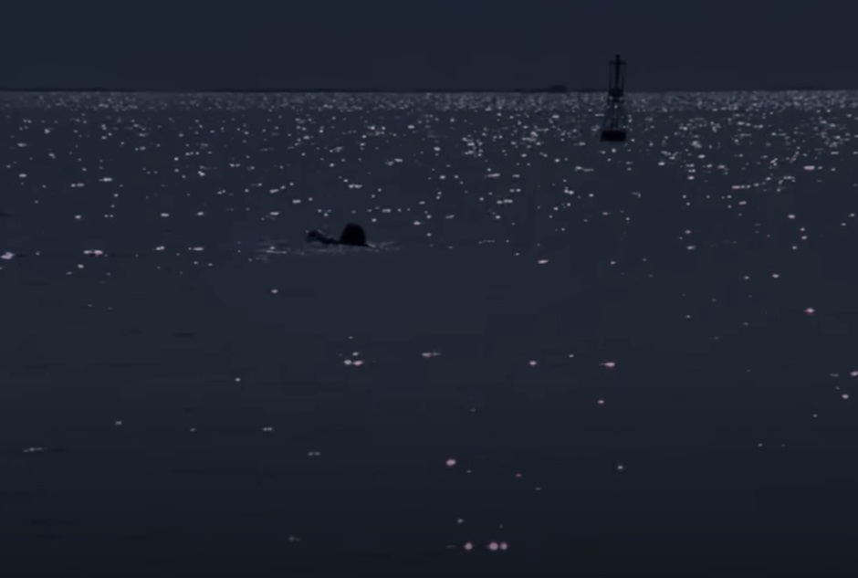 Screenshot from the movie Jaws (1975)