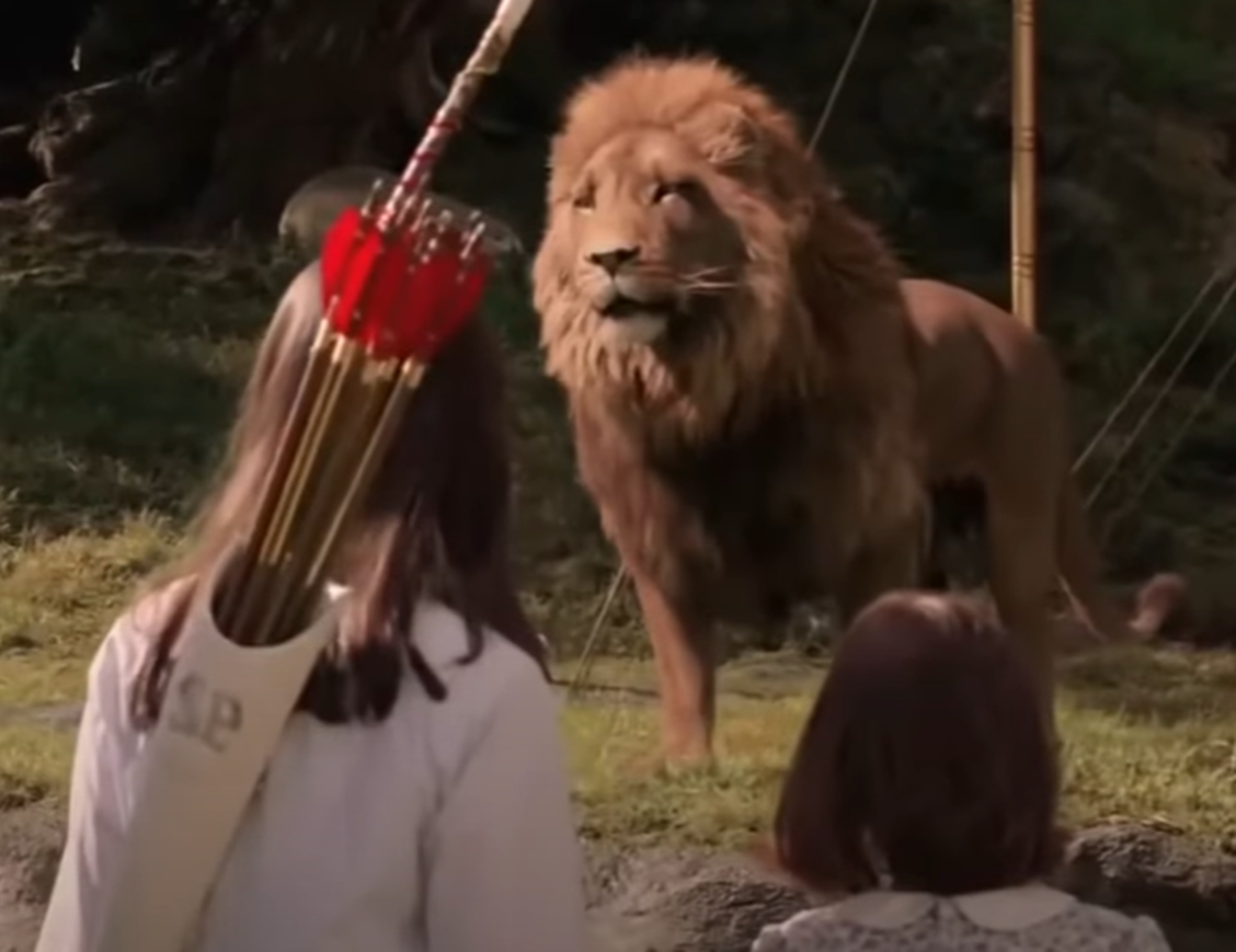 Screenshot from - The Chronicles Of Narnia- The Lion, The Witch And The Wardrobe (2005)