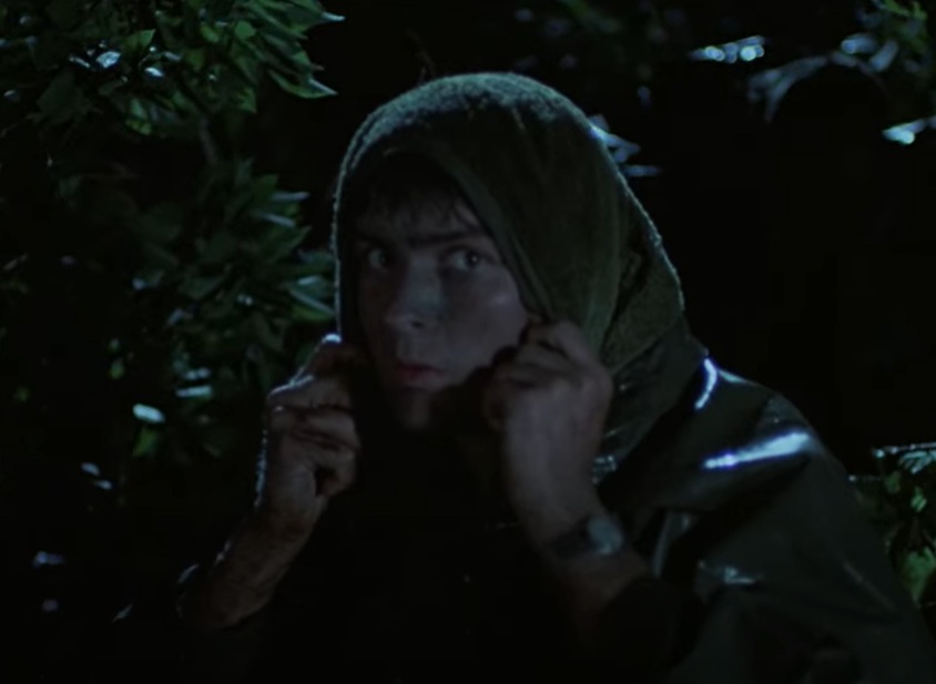 A visually captivating still taken from a pivotal moment in the film Platoon (1986