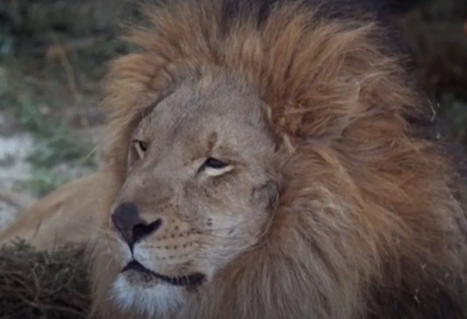 A visually captivating still taken from a pivotal moment in the television series Gilligan's Island (1964-1967)