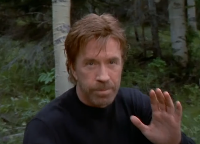 Screenshot of the TV Show Walker, Texas Ranger