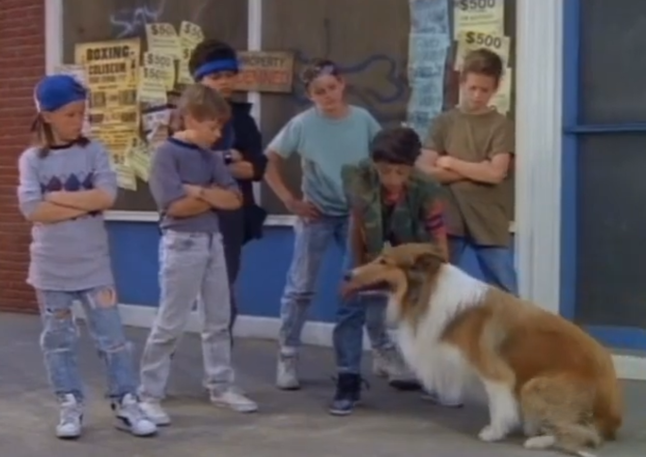 Screenshot from the TV series Lassie 1997-