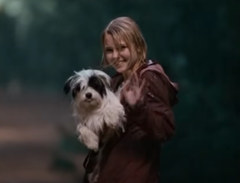 A visually captivating still taken from a pivotal moment in the film Bridge to Terabithia (2007)
