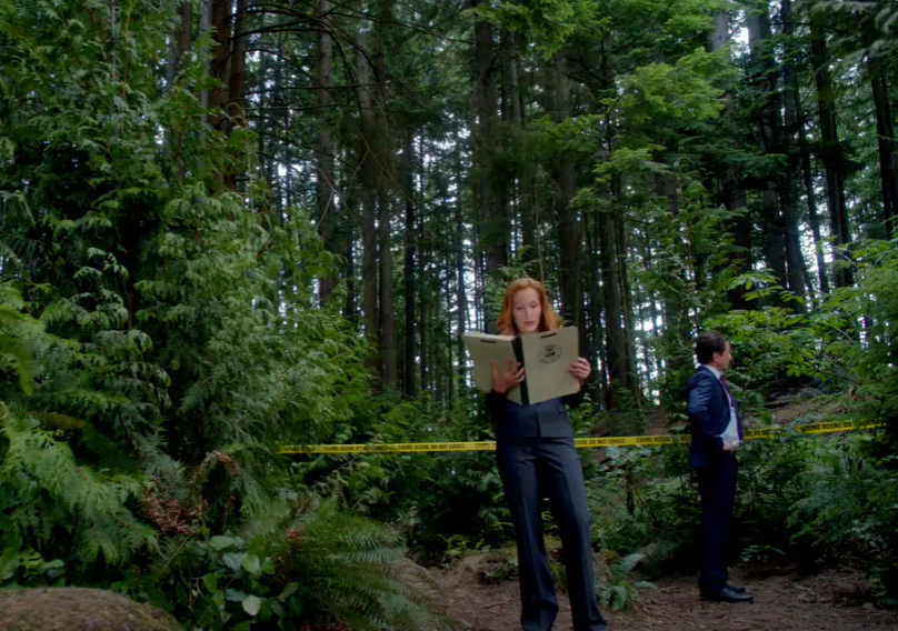 Screenshot of the TV Show The X-Files