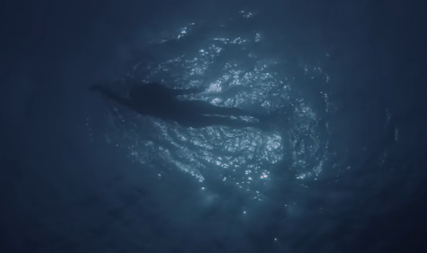 Screenshot from the movie Jaws (1975)