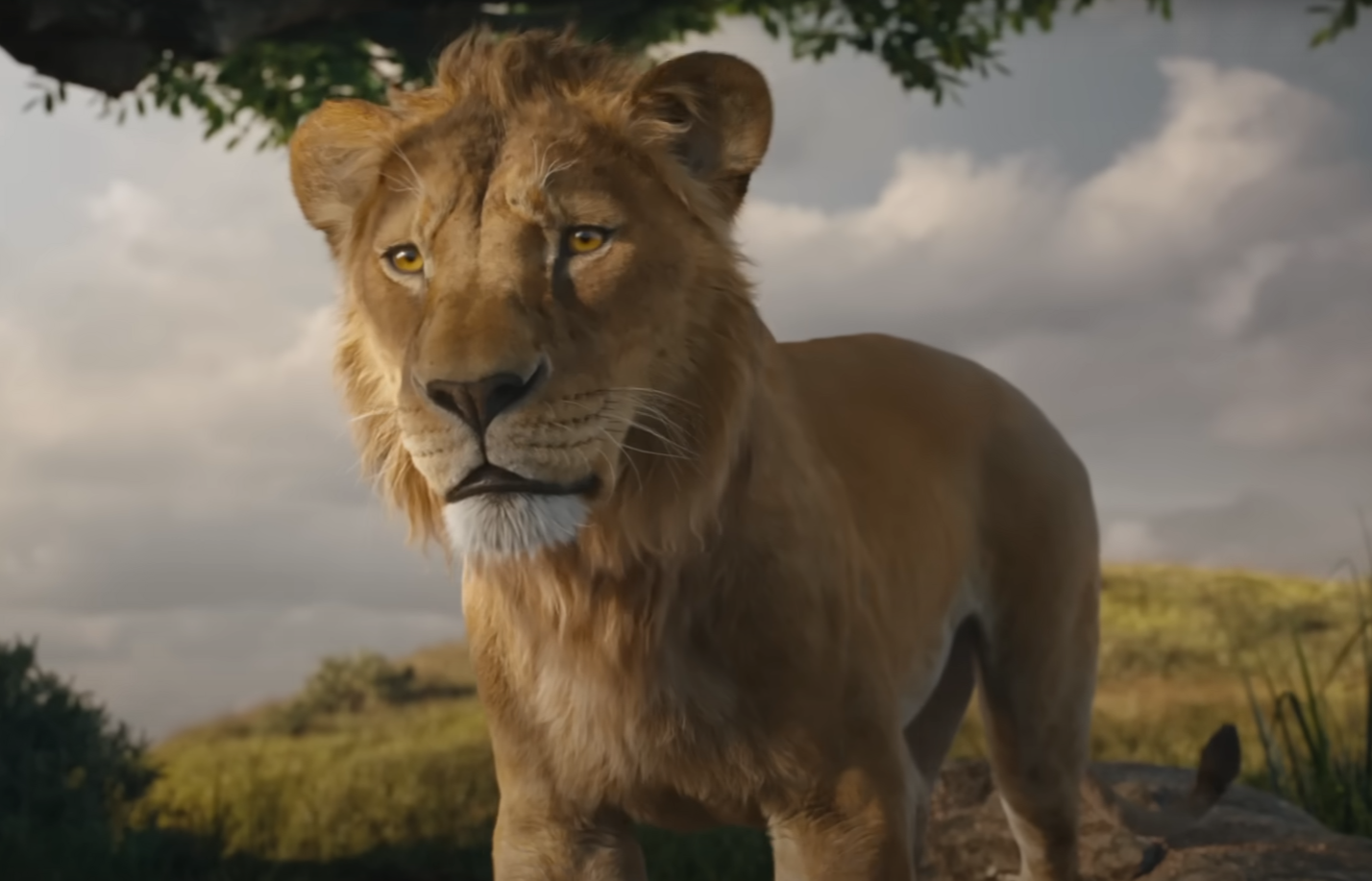 A screenshot of the movie Mufasa: The Lion King
