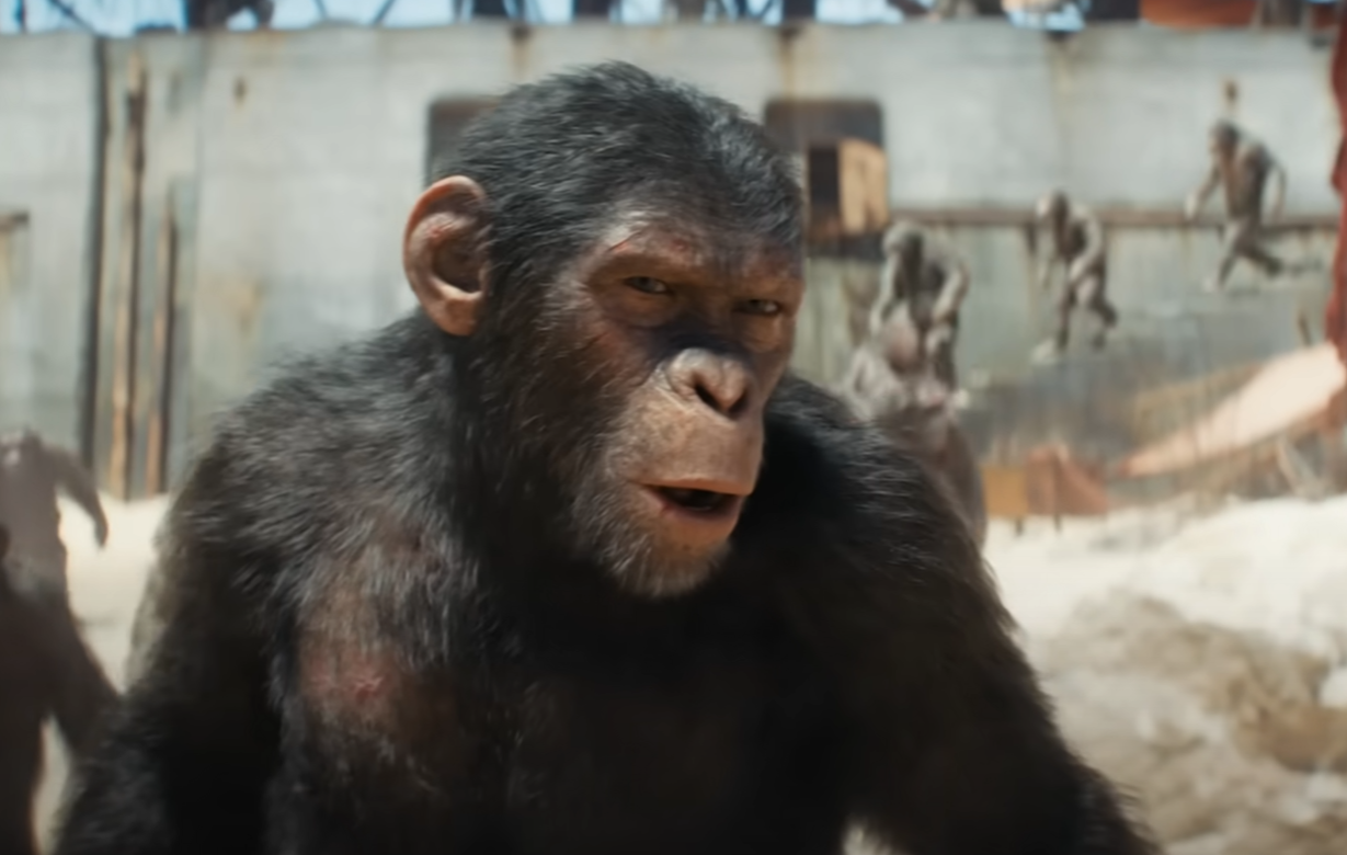 A screenshot of the movie Kingdom of the Planet of the Apes