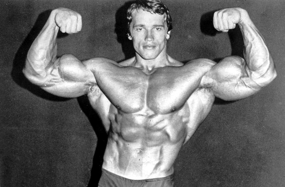 Arnold Schwarzenegger, a professional bodybuilder and actor