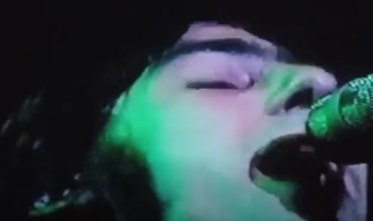 “Rusty Nail” The Soft Boys (1979)