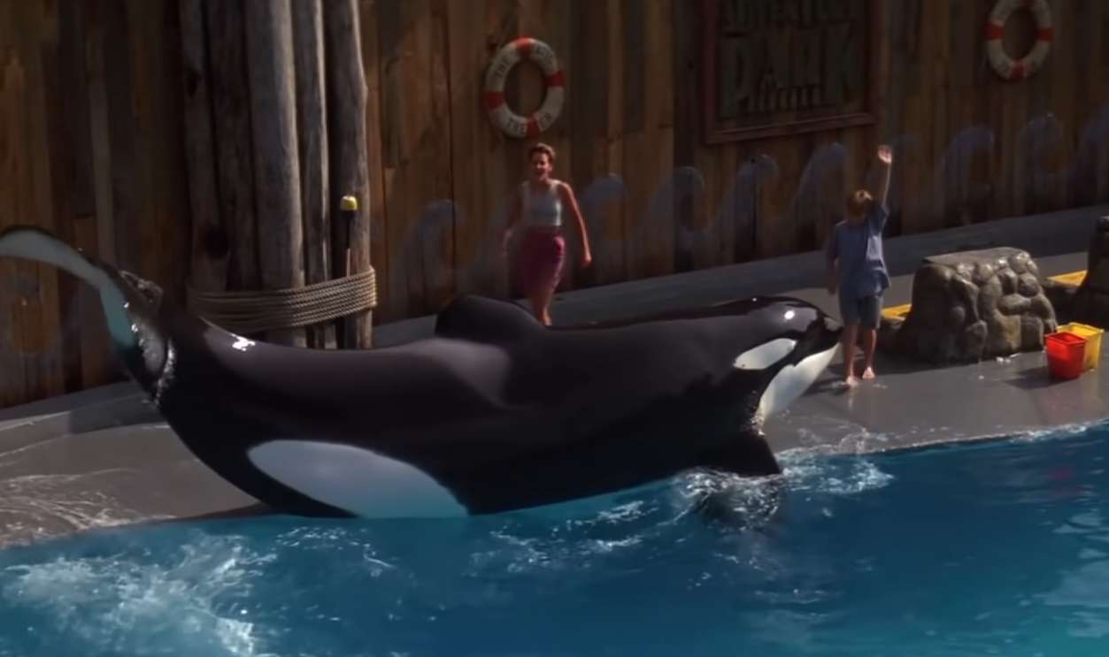 Screenshot from Free Willy (1993)