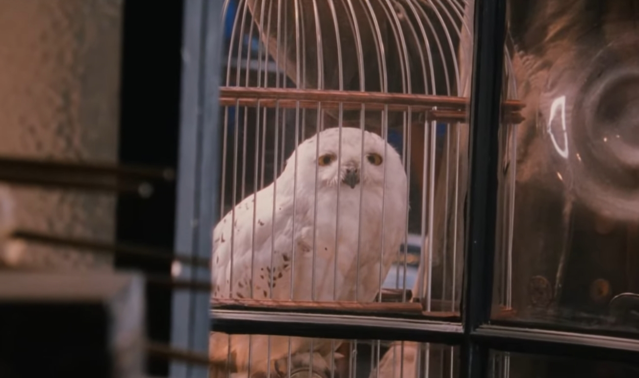 Screenshot from Harry Potter franchise (2001–2011)