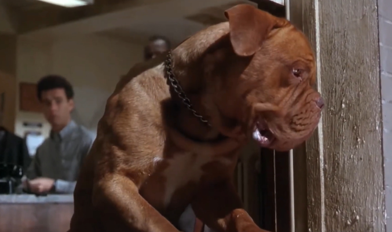 Screenshot from Turner & Hooch (1989)