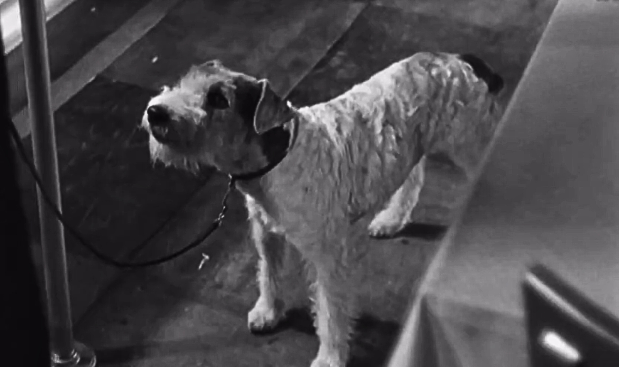 Screenshot from The Thin Man (1934)