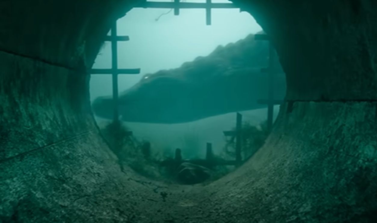 Screenshot from Crawl (2019)