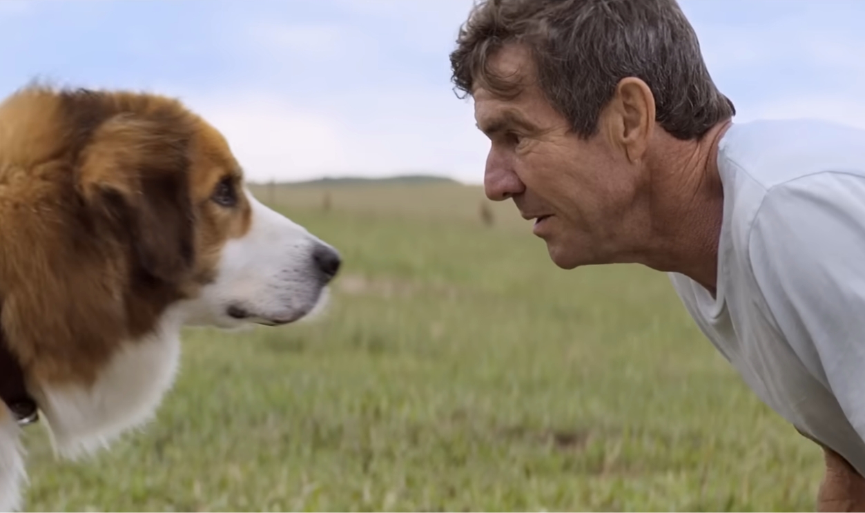 A Dog’s Purpose
