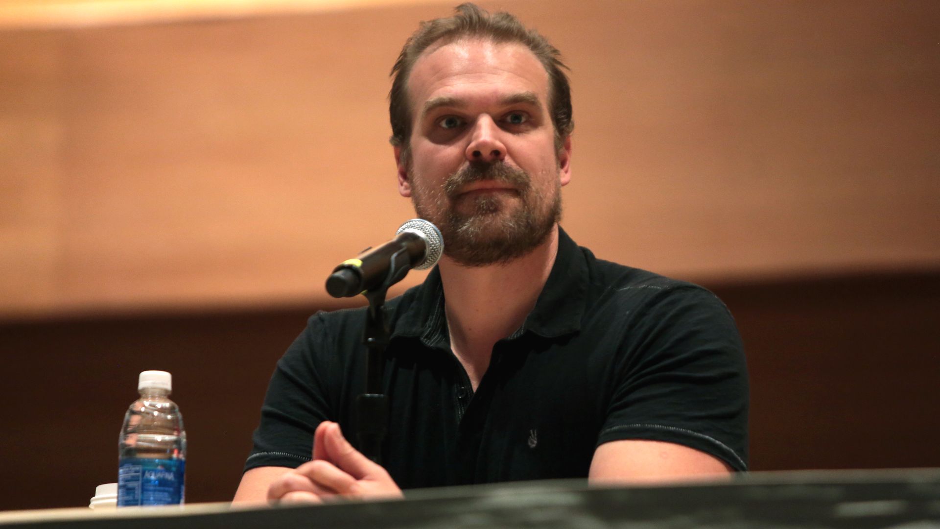 File:David Harbour (30230360410).jpg