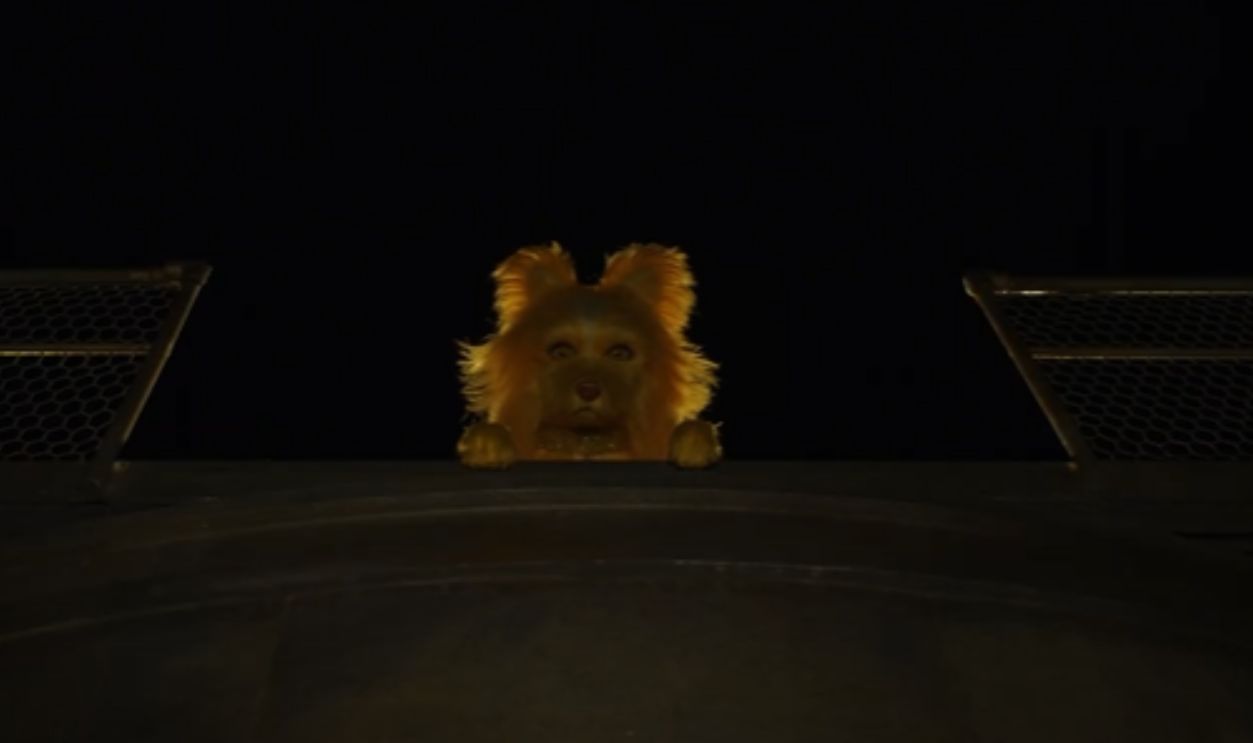 Screenshot from Isle of Dogs (2018)
