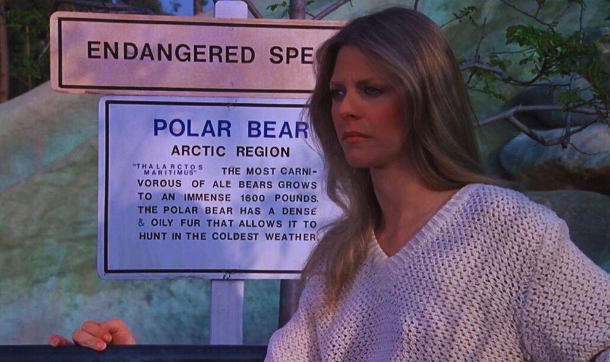 Screenshot from The Bionic Woman (1976–1978)