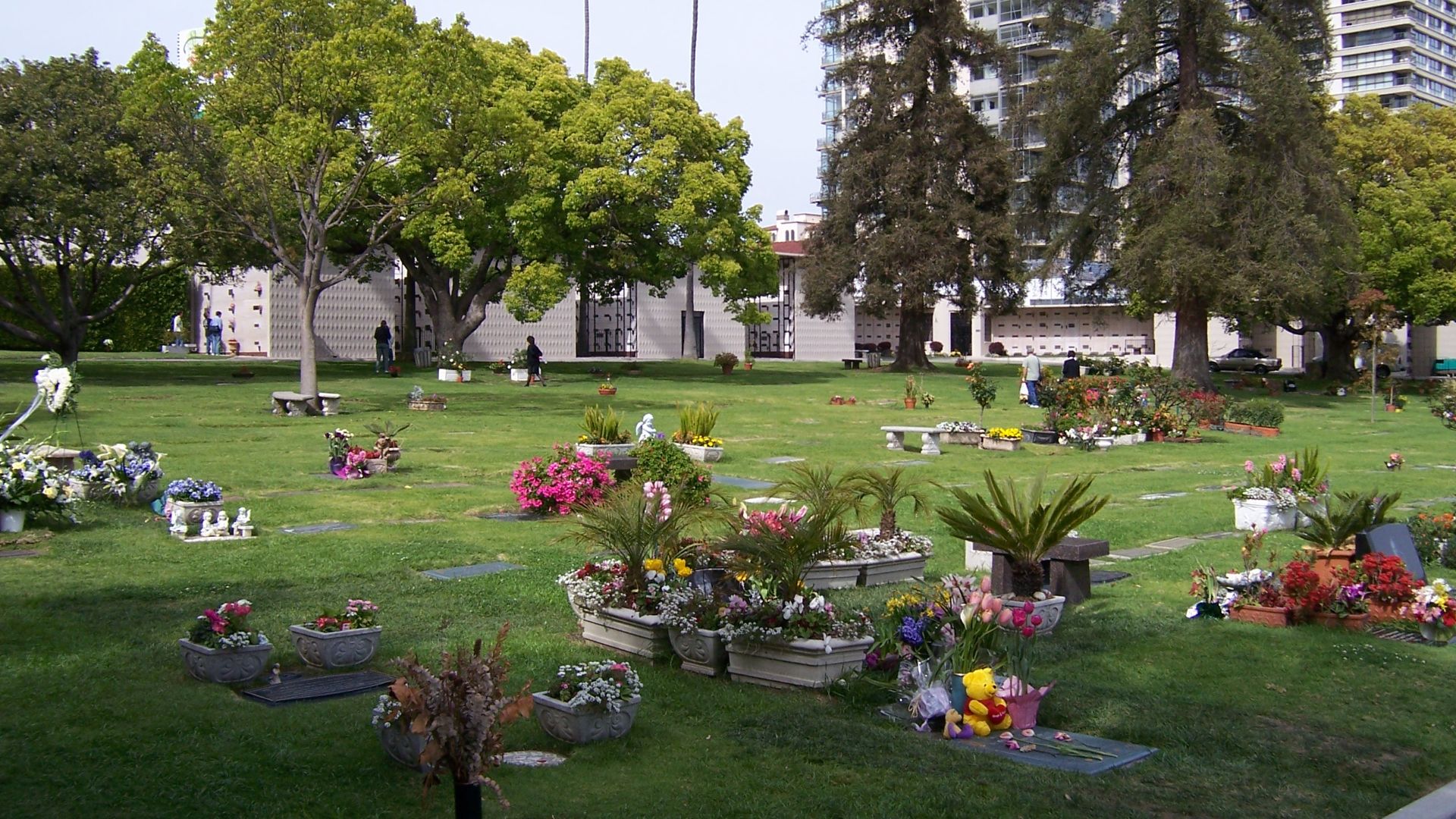 File:Westwood Village Memorial Park Cemetery view to northeast.jpg