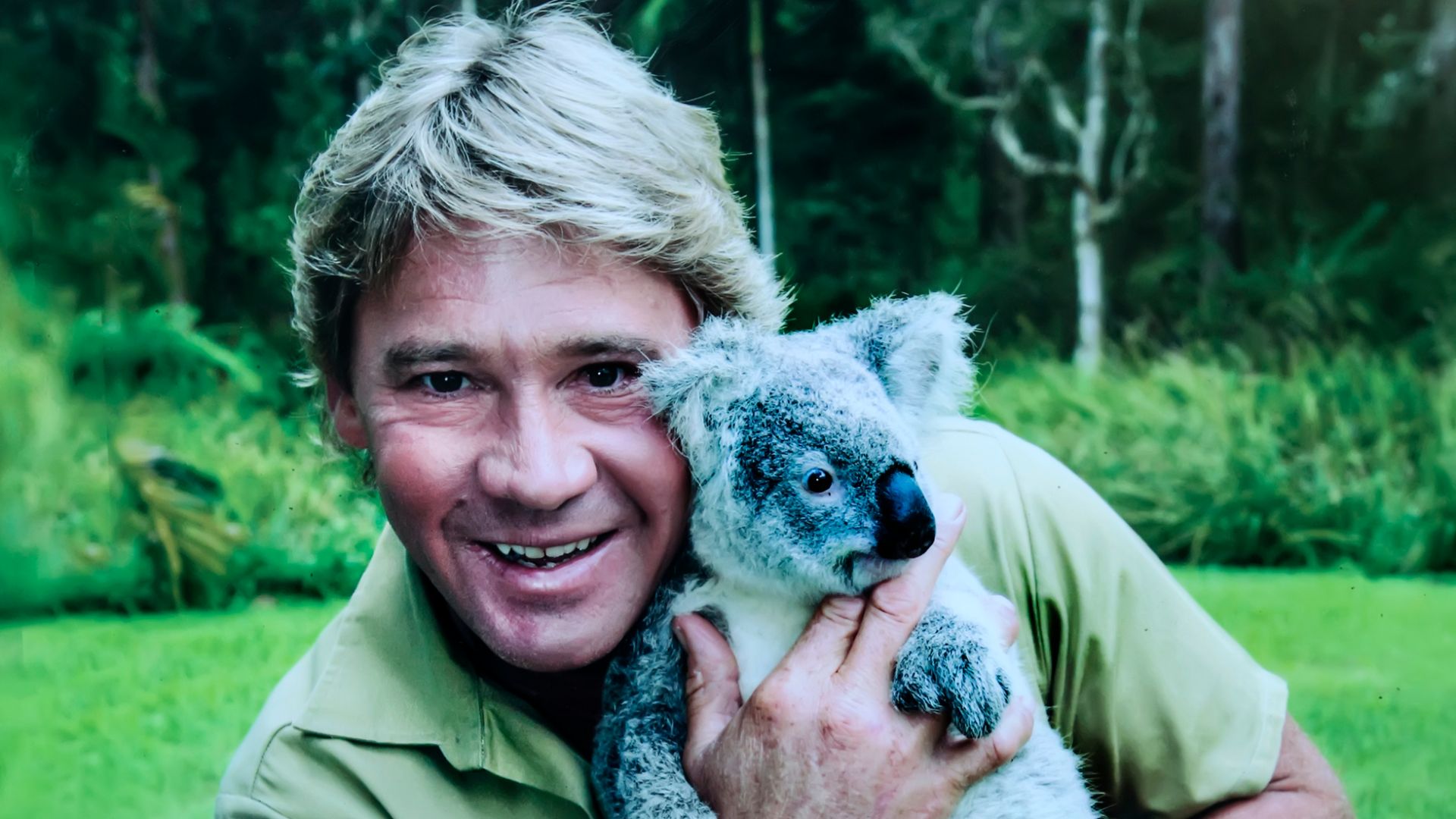 File:Steve Irwin holding Koala.jpg