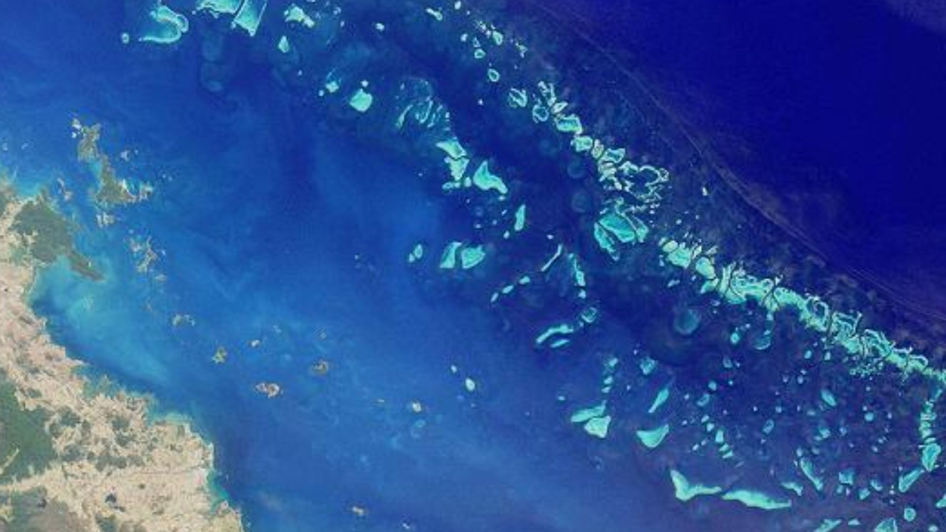 File:GreatBarrierReef-EO.JPG