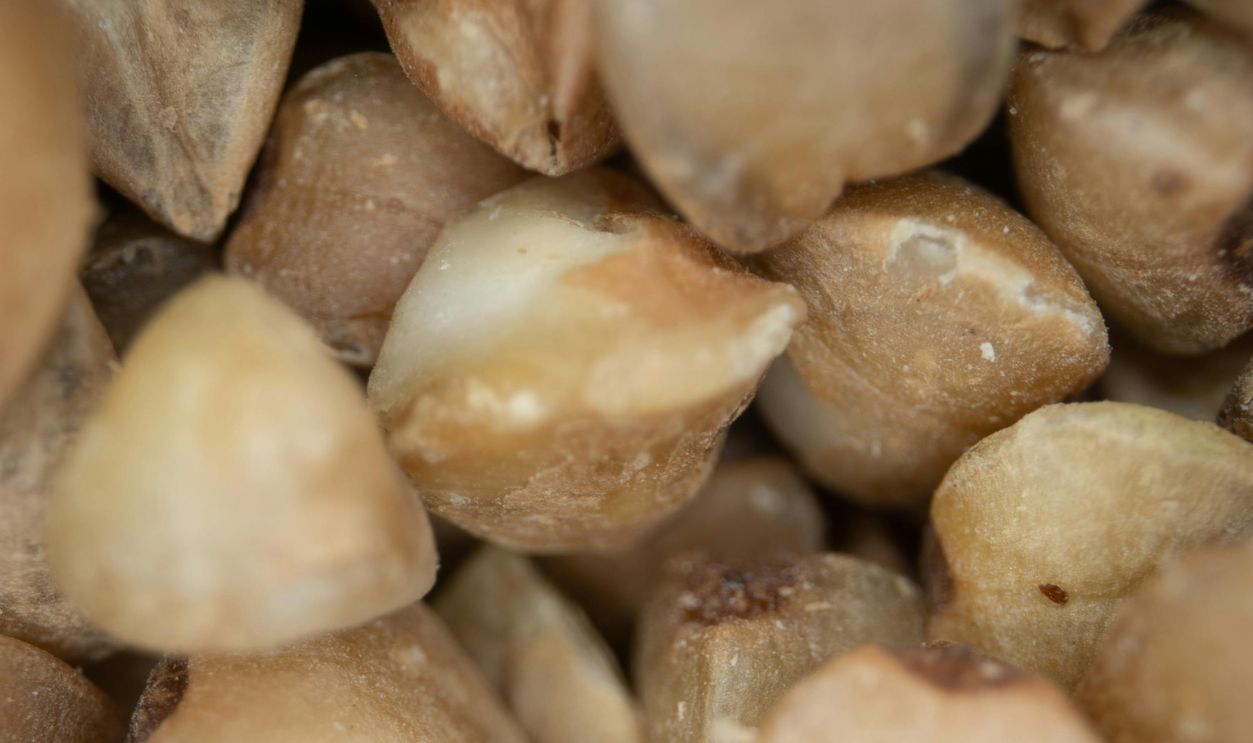 Sugary Breakfast Cereals Don’t Fulfill Her Needs