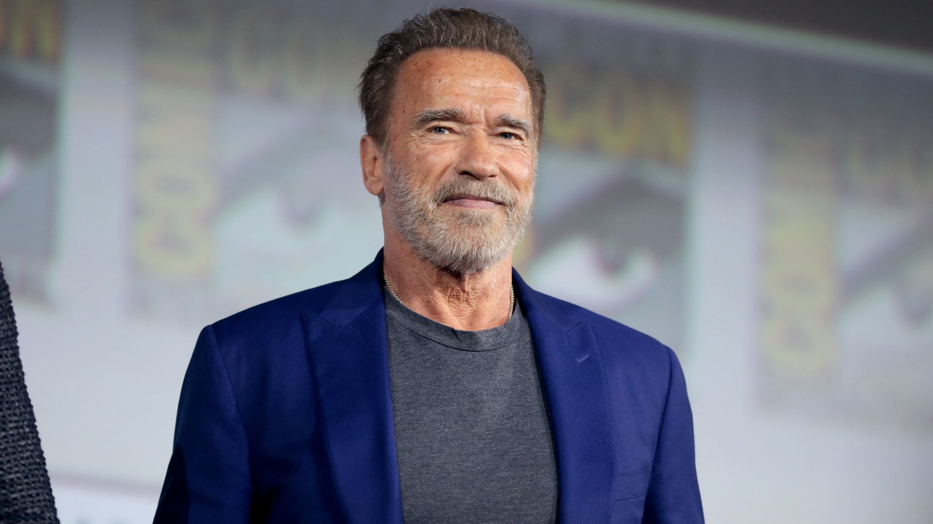 File:Arnold Schwarzenegger (48354874611).jpg