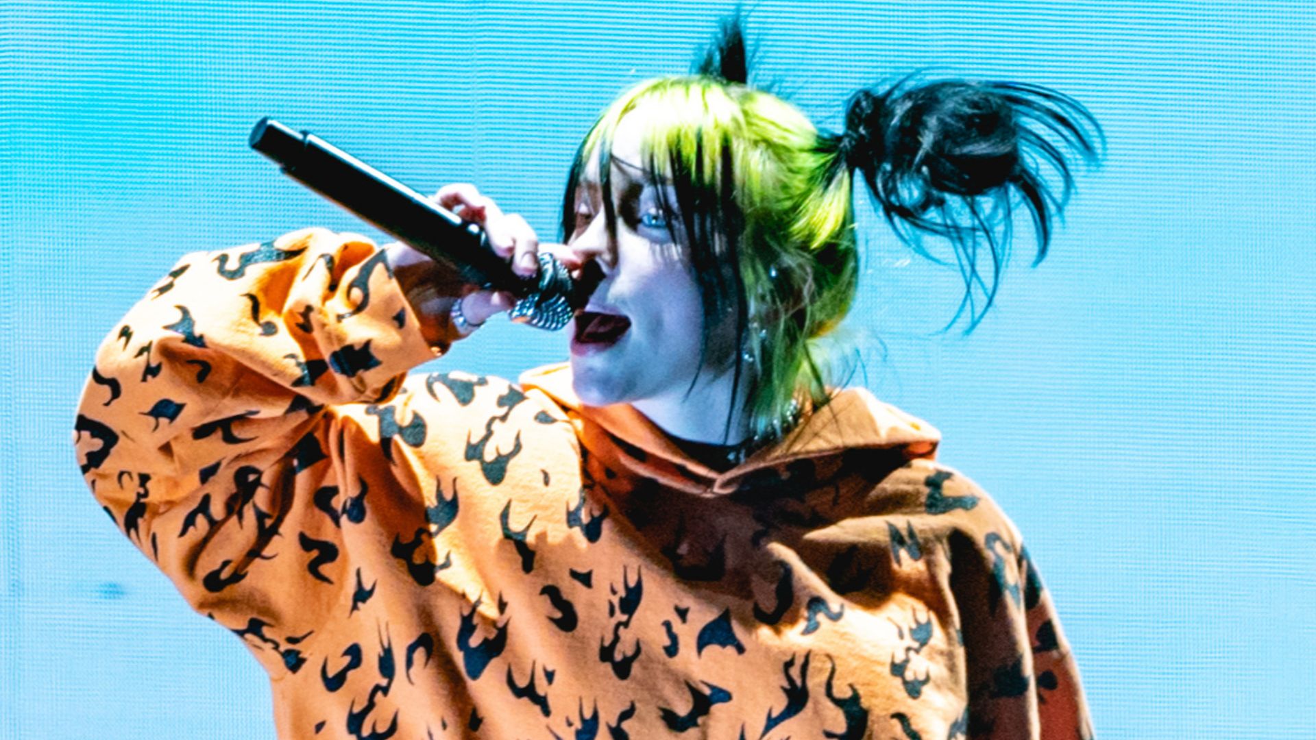 File:CoronaCapFest19-76 (50078994132) (cropped).jpg