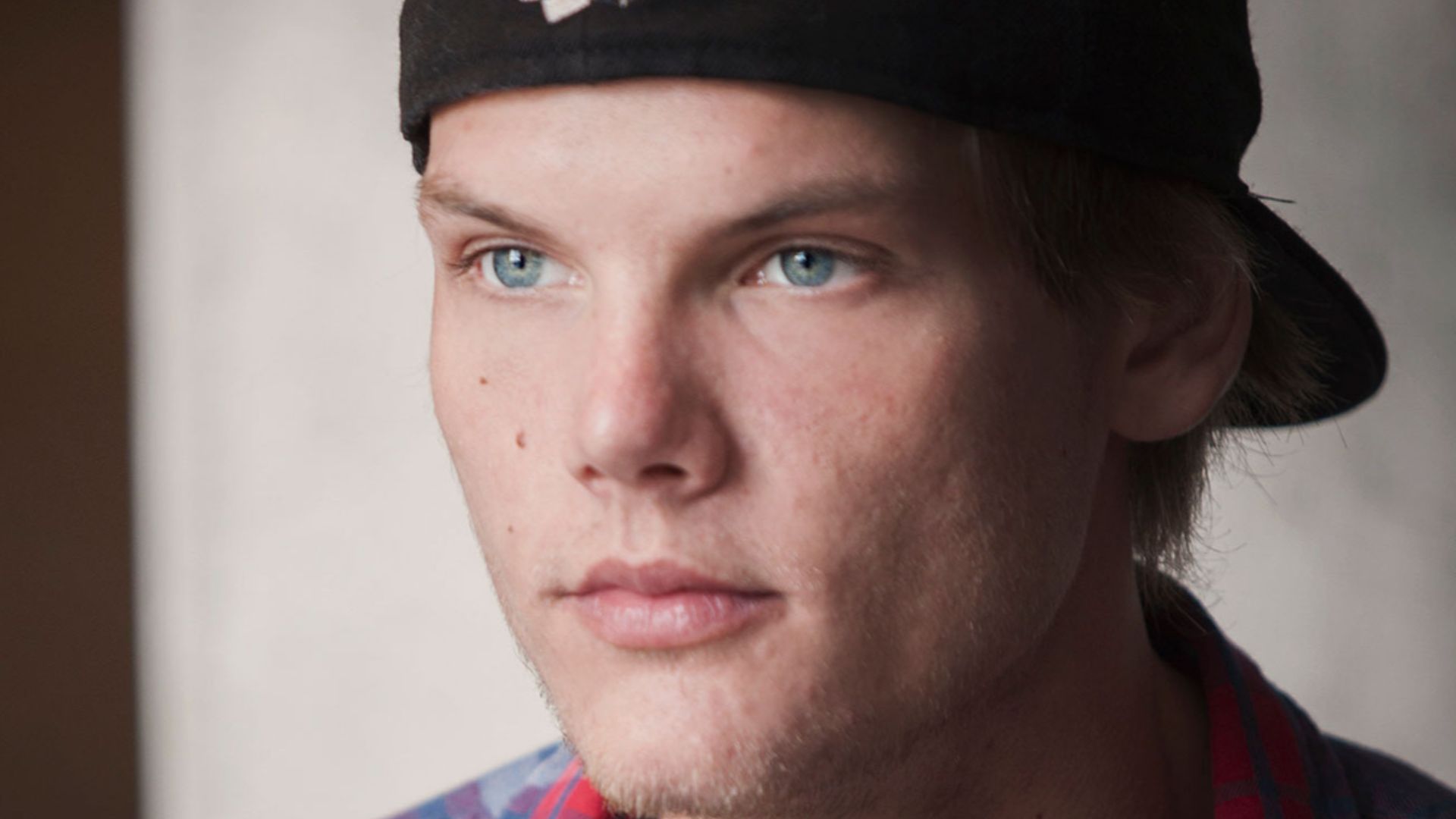 File:Avicii 2014 003.jpg