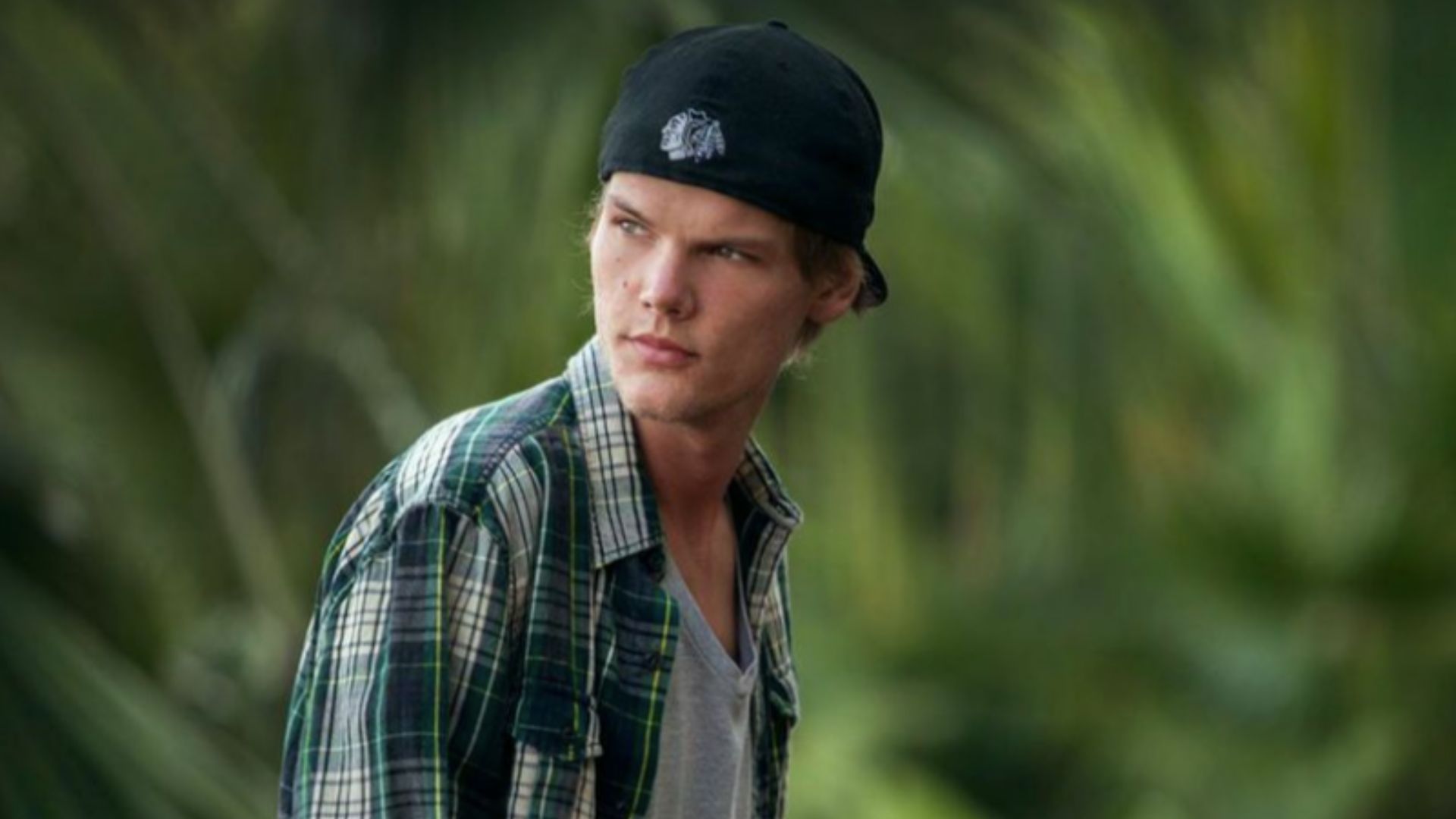 File:Avicii 2014 001.png