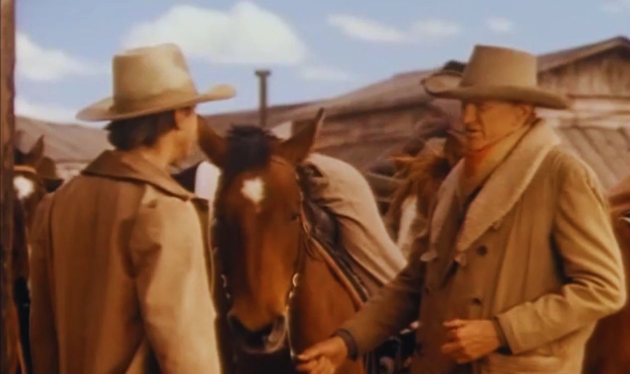 Untitled Design (78)