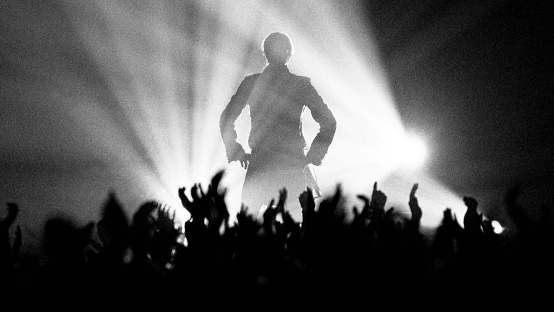 File:David Bowie (57399636).jpeg