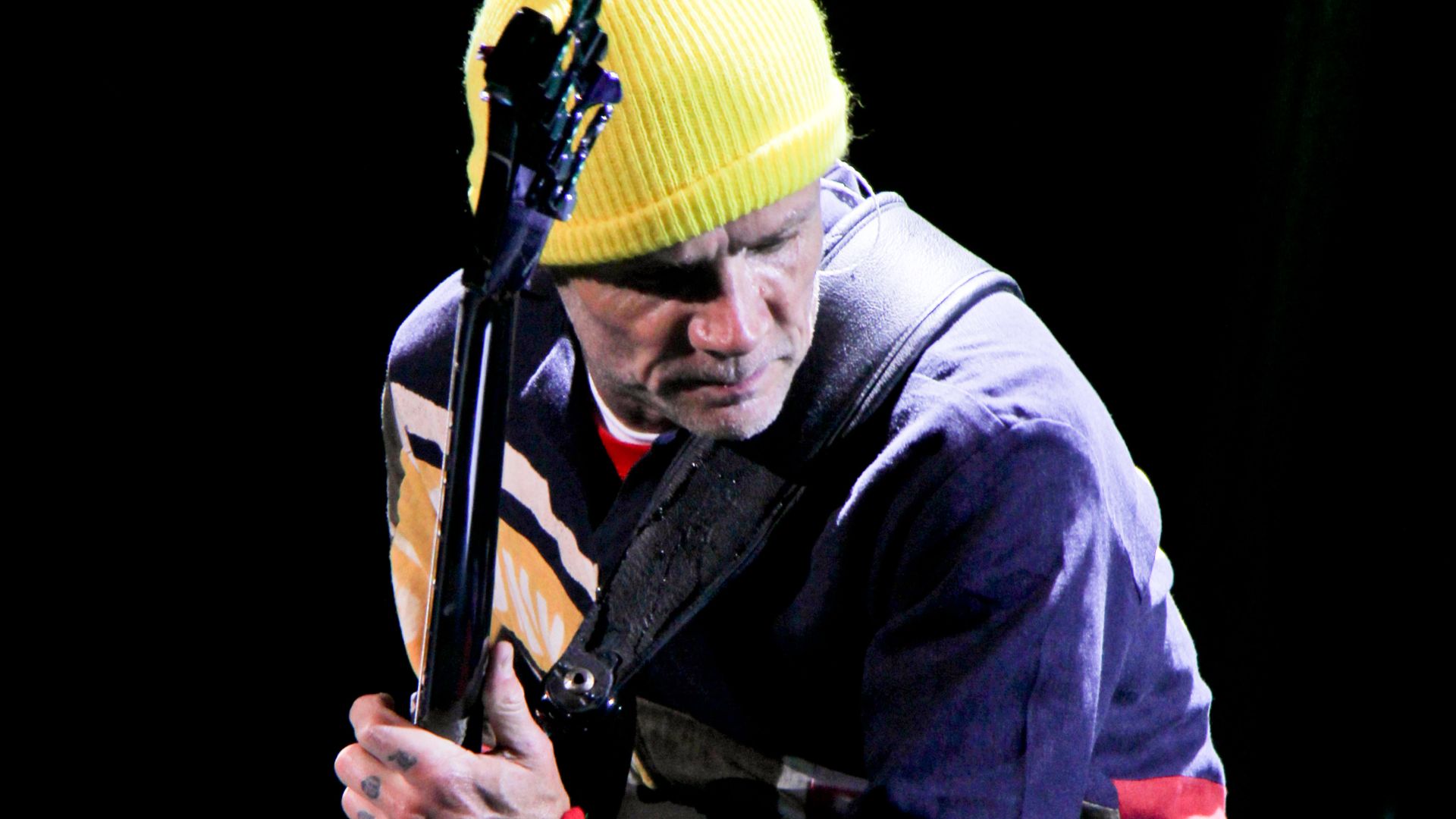 File:Flea 2012 (1).jpg